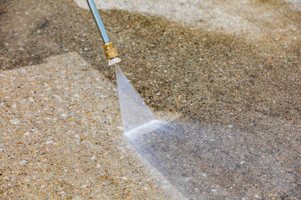 Best Building Exterior Washing  in Harlem, FL
