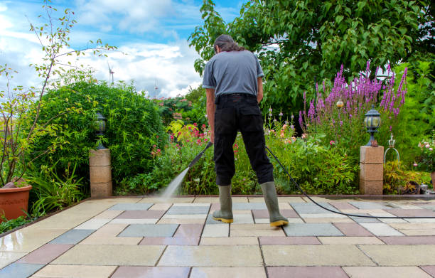 Best Winterizing Services  in Harlem, FL
