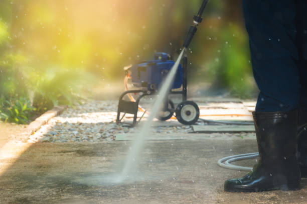 Animal Enclosure Cleaning in Harlem, FL